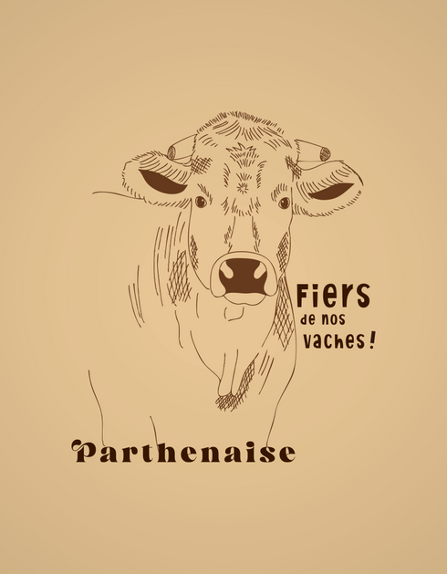 Vache Parthenaise pull unisexe