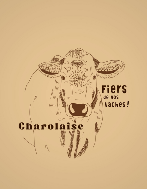 Vache Charolaise t-shirt unisexe
