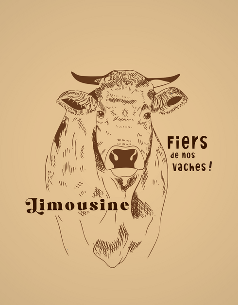 Vache Limousine pull unisexe